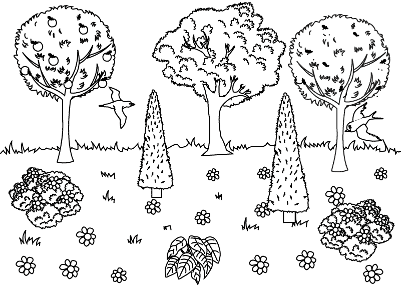 nature coloring pages for kids   group picture  image by tag