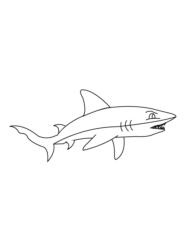Colouring Pages Shark