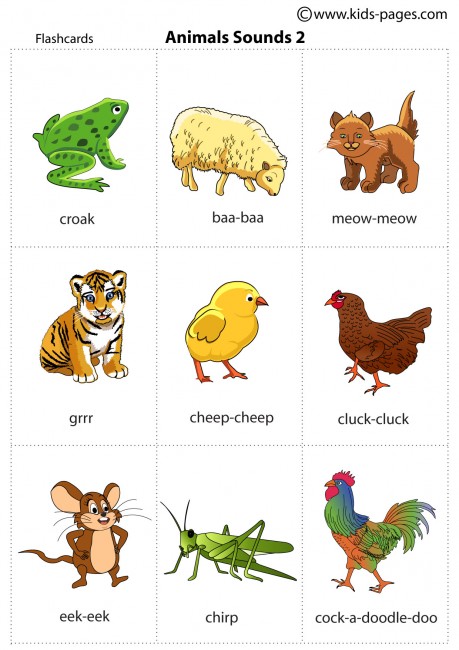 Animals Sounds 2 flashcard