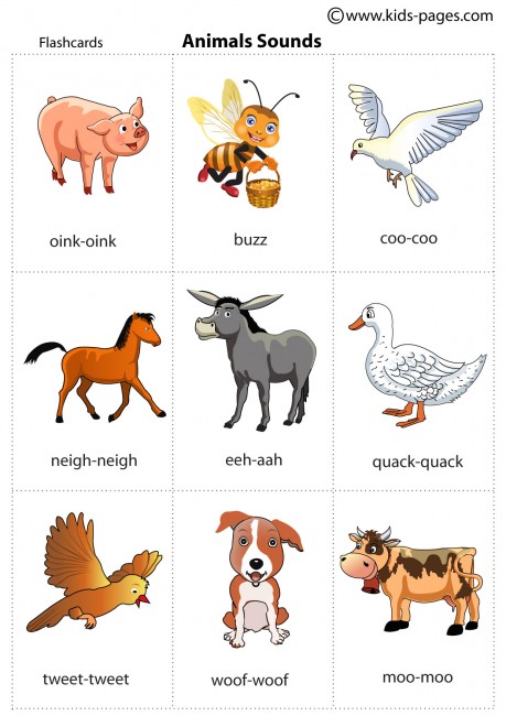 Animals Sounds flashcard