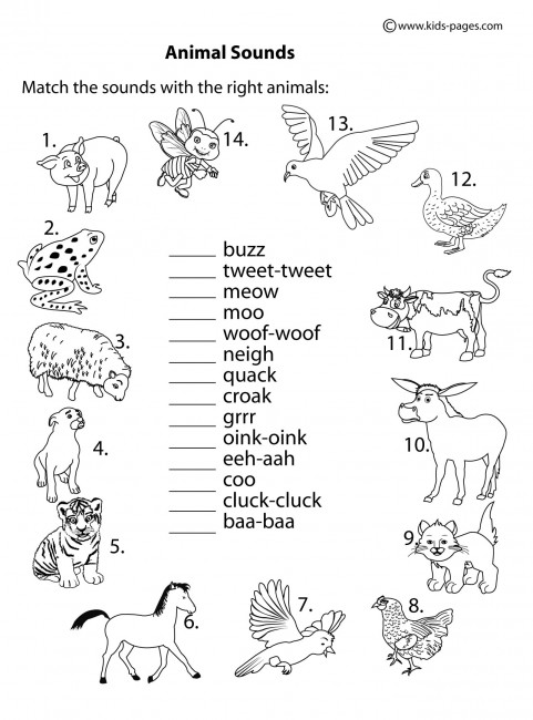 http://www.kids-pages.com/folders/worksheets/Animals/Animal%20SoundsBW.jpg