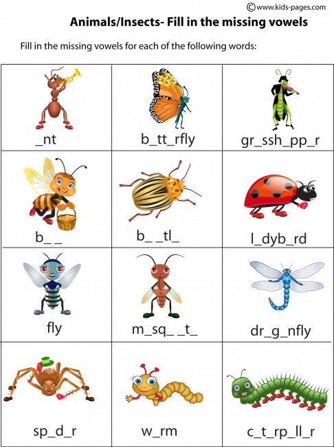 Insects worksheets