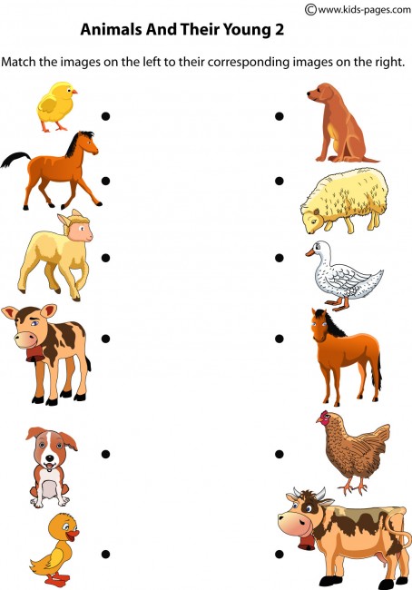 animal worksheet: NEW 933 WORKSHEETS ANIMALS AND THEIR BABIES