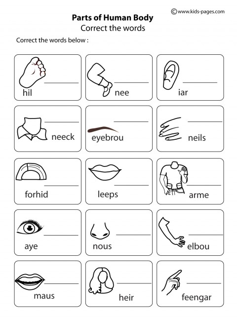Here is a comprehensive list of appearance and body part vocabulary that you could use as. Body Parts Worksheet - Body Parts Word Correction B&W worksheet