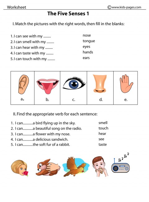 worksheet Senses sense worksheets Five five the  1 The