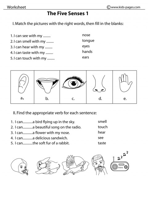 five   Printable kindergarten  Free Senses senses 5 worksheets Five Worksheets our Kindergarten, Senses
