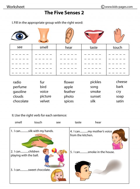 5 Senses Worksheets Printable New Calendar Template Site