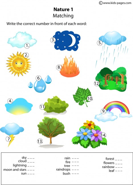 online injured index and pathogenic bacteria occurence and detection in foods water