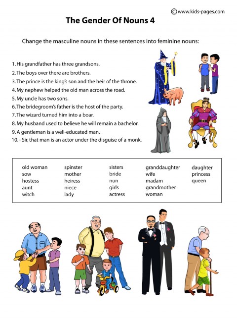 the-gender-of-the-nouns-worksheet