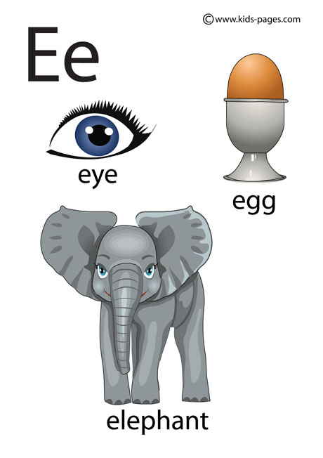 Letter E flashcard