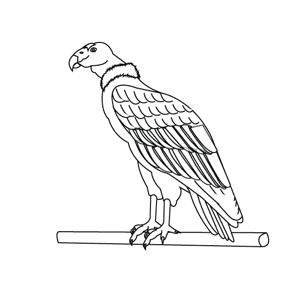 Bird10_coloring page