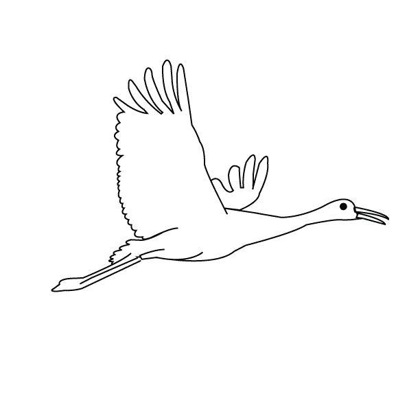 Bird18_coloring page