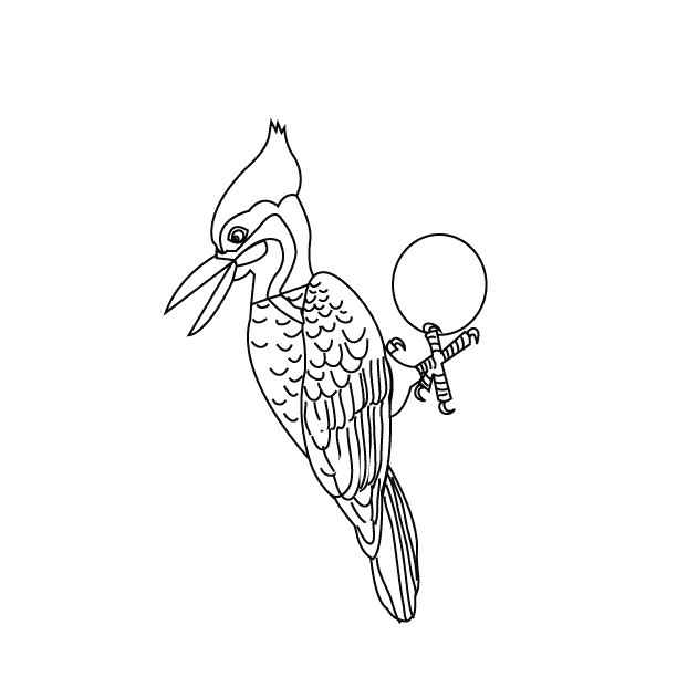 Bird19_coloring page