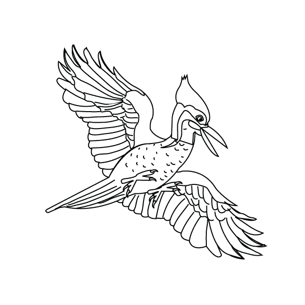 Bird20_coloring page