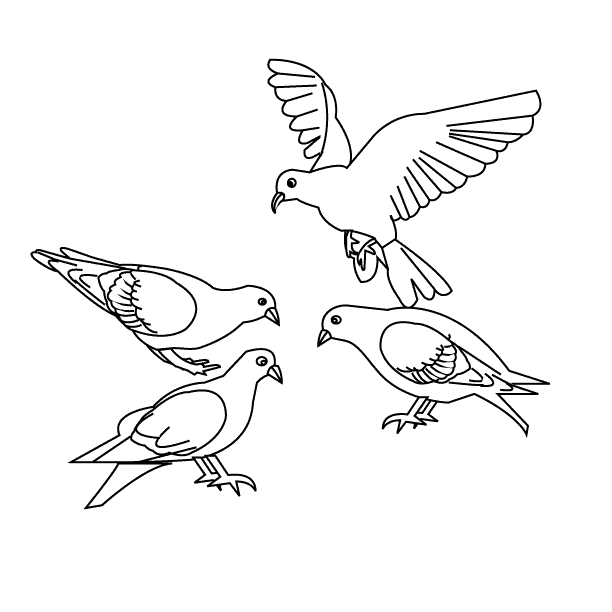 Bird21_coloring page