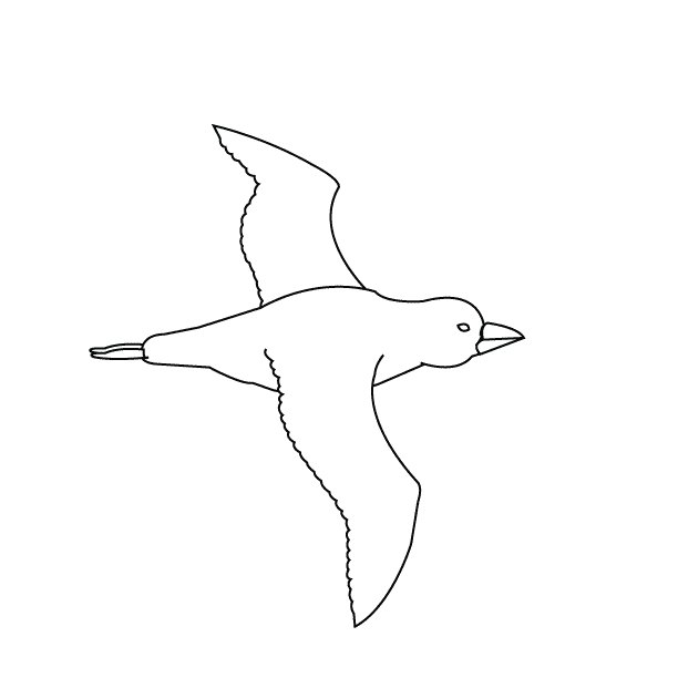 Bird5_coloring page