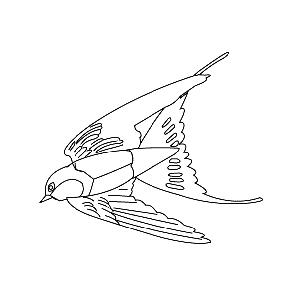 Bird6_coloring page