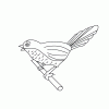 Bird2