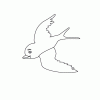 Bird3