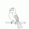 Bird8