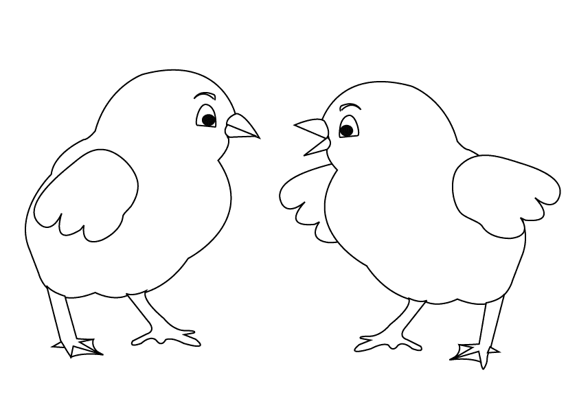 Chicks_coloring page