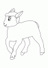 Lamb