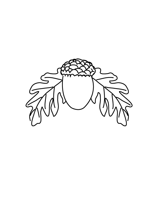 Acorn_coloring page