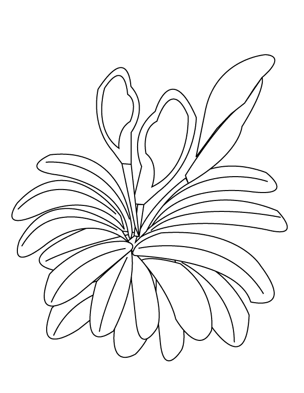 Flower1_coloring page