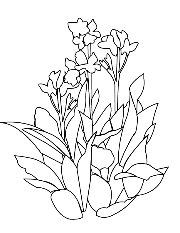 Flower3_coloring page