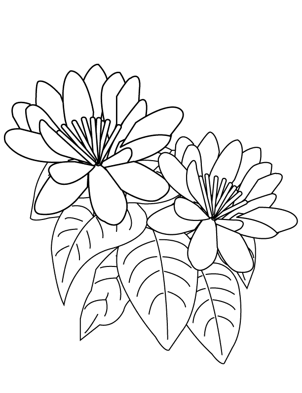 Flower4_coloring page