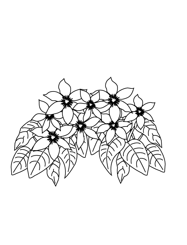 Flower5_coloring page