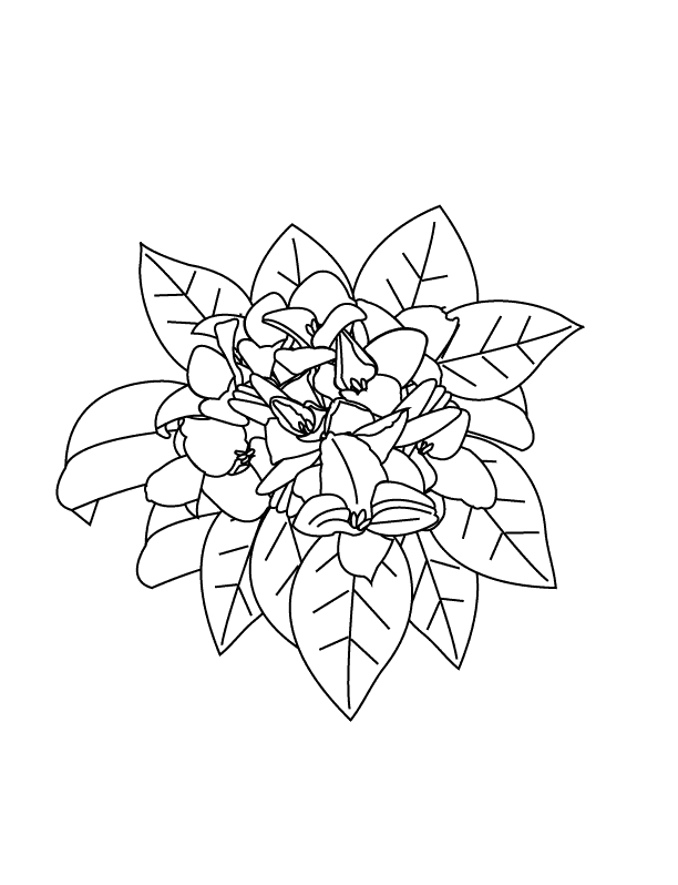 Flower6_coloring page