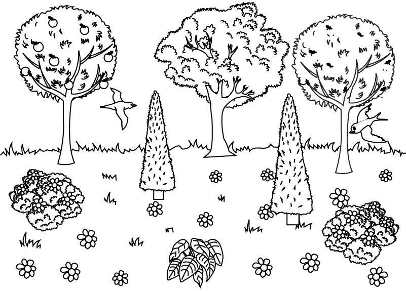 Nature_coloring page