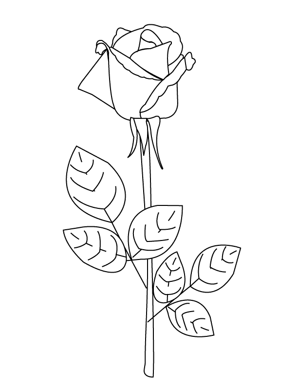 Rose1_coloring page