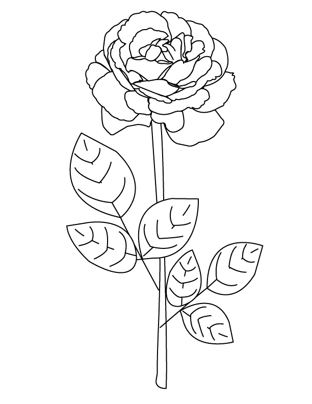 Rose2_coloring page