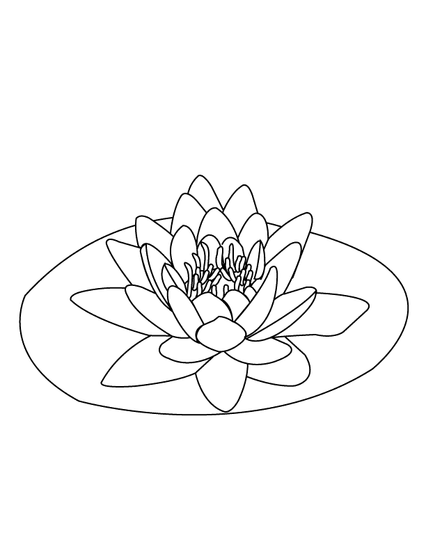 Water-lily_coloring page