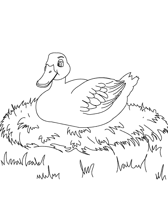 The Ugly Duckling page 1_coloring page