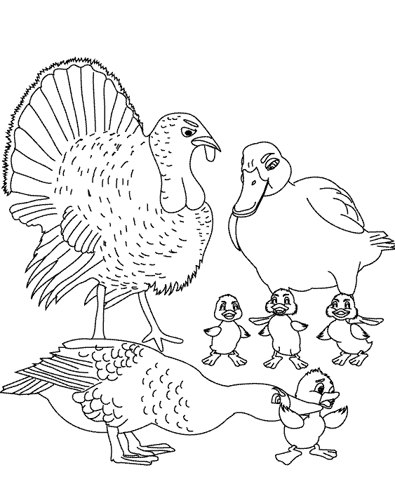 The Ugly Duckling page 5_coloring page
