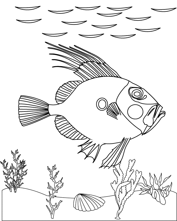 JohnDory_coloring page