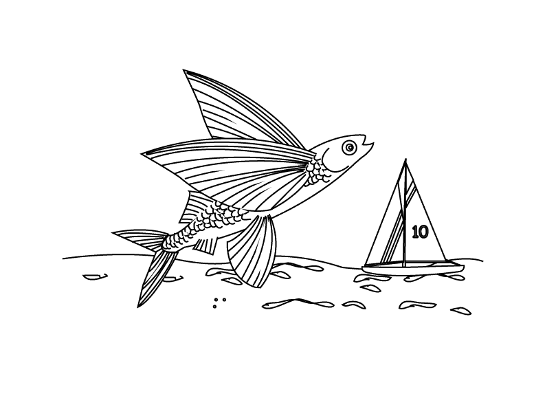 Download Coloring Pages - Flying-fish