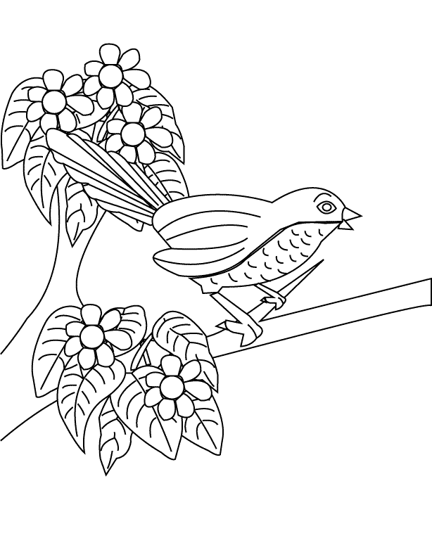 Bird_coloring page