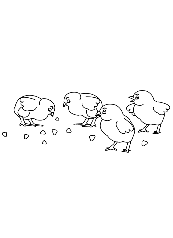 Chicken_coloring page
