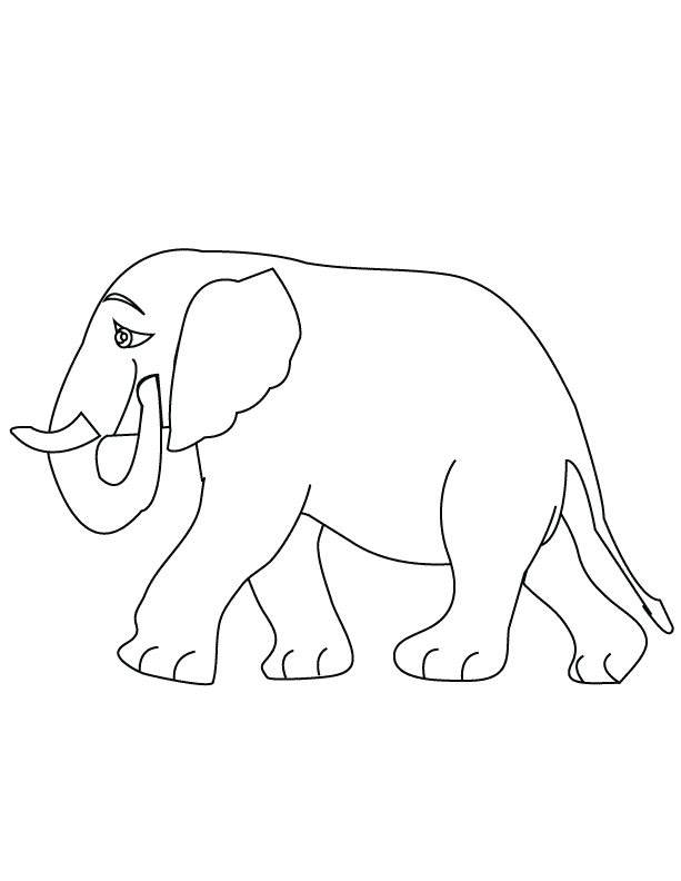 Elephant_coloring page