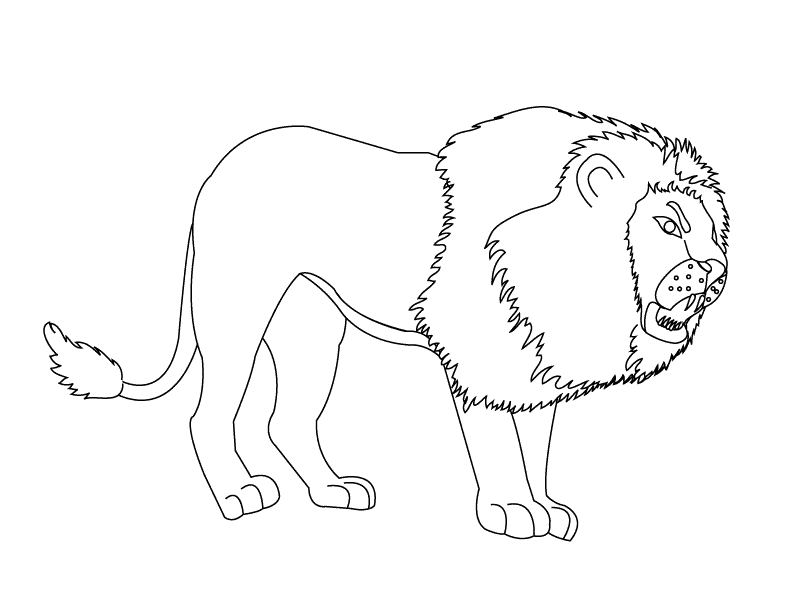 Lion 2_coloring page
