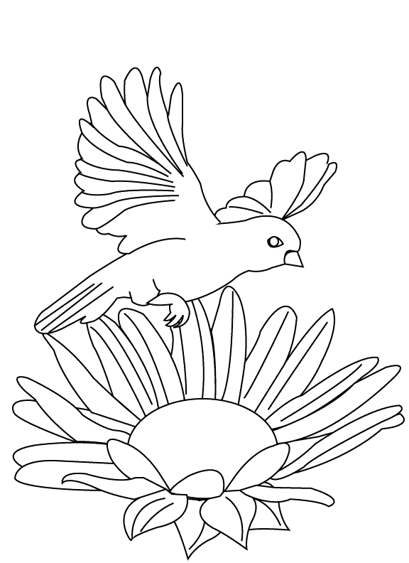 Parrot flying_coloring page