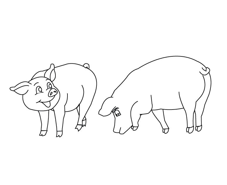 Pigs_coloring page