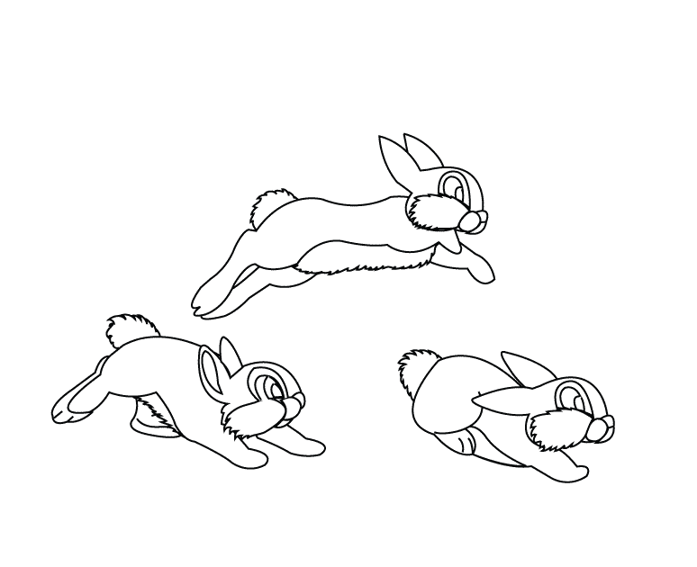 Rabbits_coloring page