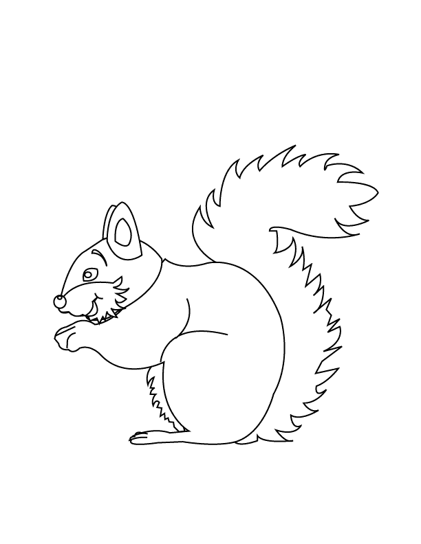 Squirrel2_coloring page