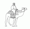 Camel