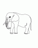 Elephant2